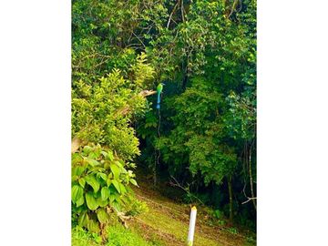 Se venden cabañas para turismo en filandia Quindío