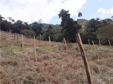 SE VENDE FINCA  EN CALARCA QUINDIO