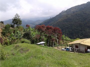 SE VENDE FINCA  EN CALARCA QUINDIO