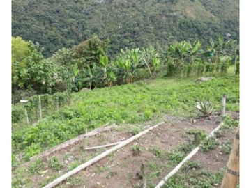 SE VENDE FINCA  EN CALARCA QUINDIO