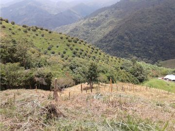 SE VENDE FINCA  EN CALARCA QUINDIO
