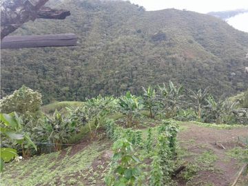 SE VENDE FINCA  EN CALARCA QUINDIO