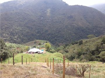 SE VENDE FINCA  EN CALARCA QUINDIO