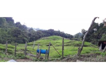 SE VENDE FINCA  EN CALARCA QUINDIO