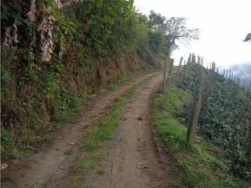 SE VENDE FINCA  EN CALARCA QUINDIO