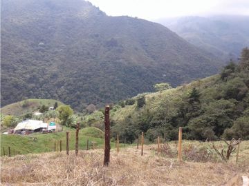 SE VENDE FINCA  EN CALARCA QUINDIO