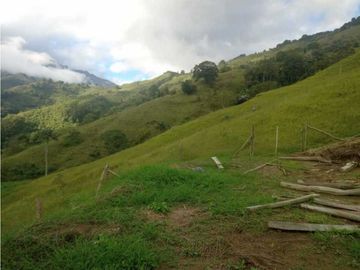 SE VENDE FINCA  EN CALARCA QUINDIO