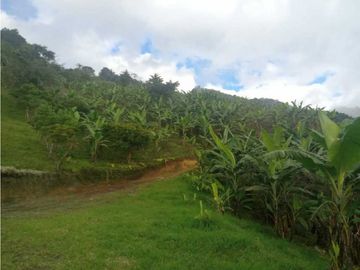 SE VENDE FINCA  EN CALARCA QUINDIO