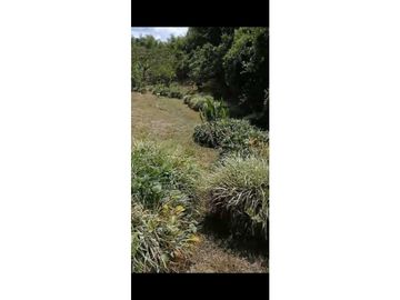 SE VENDE FINCA PARA TURISMO EN PUEBLO TAPAO QUINDIO