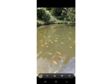 SE VENDE FINCA PARA TURISMO EN PUEBLO TAPAO QUINDIO