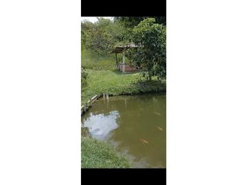 SE VENDE FINCA PARA TURISMO EN PUEBLO TAPAO QUINDIO