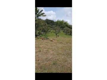 SE VENDE FINCA PARA TURISMO EN PUEBLO TAPAO QUINDIO