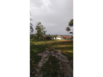 Se vende finca en filandia