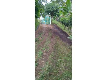 Se vende finca en filandia