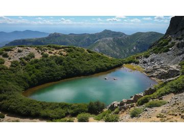 OPORTUNIDAD!! Se Vende Parcela 18 de 5.549 m2 y Rol Propio en Las Trancas, Termas de Chillan