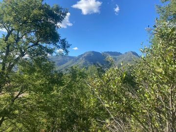 OPORTUNIDAD!! Se Vende Parcela 18 de 5.549 m2 y Rol Propio en Las Trancas, Termas de Chillan