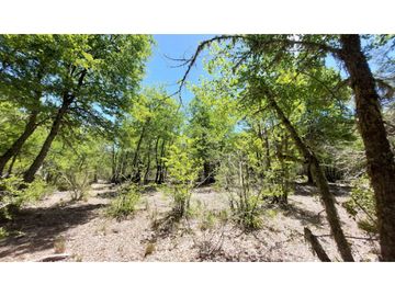 OPORTUNIDAD!! Se Vende Parcela 18 de 5.549 m2 y Rol Propio en Las Trancas, Termas de Chillan