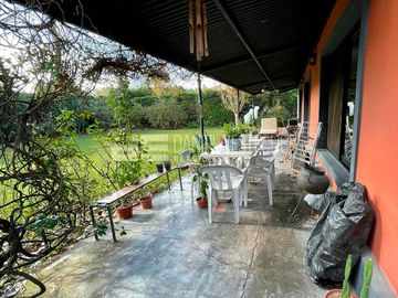 Casa - Bermudas