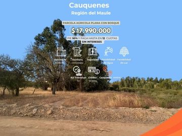 Ultimas 3 parcelas a 4 km de Cauquenes Centro