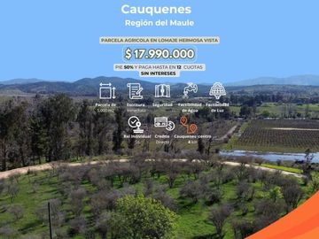 Ultimas 3 parcelas a 4 km de Cauquenes Centro