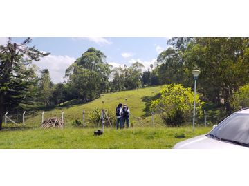 FINCA EN CIRCASIA