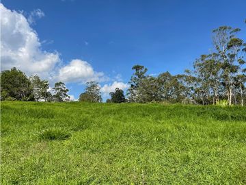 Lote en Venta, Rionegro, El Tablazo