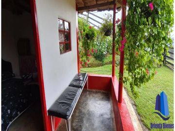 Finca agroindustrial ubicada en el municipio de Abejorral Antioquia.