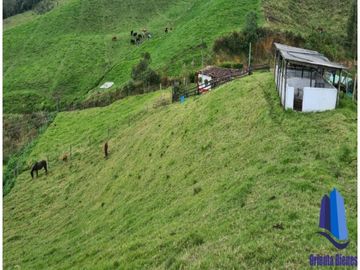 Finca agroindustrial ubicada en el municipio de Abejorral Antioquia.