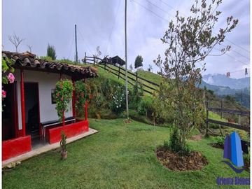 Finca agroindustrial ubicada en el municipio de Abejorral Antioquia.