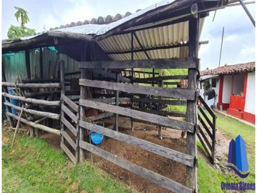 Finca agroindustrial ubicada en el municipio de Abejorral Antioquia.