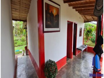 Finca agroindustrial ubicada en el municipio de Abejorral Antioquia.