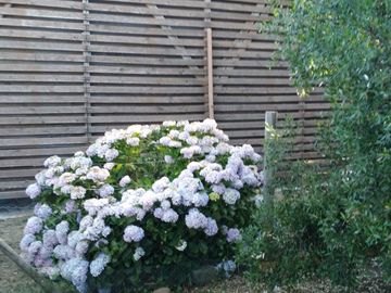 Parcela en venta en SAN CARLOS