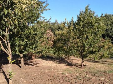 Parcela en venta en SAN CARLOS