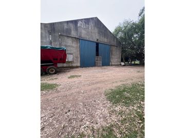 Campo  de 217 ha en San Miguel del Monte sobre Ruta 41