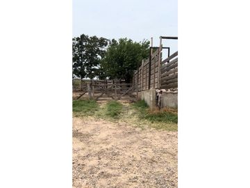 Campo  de 217 ha en San Miguel del Monte sobre Ruta 41