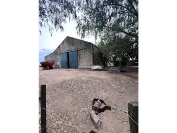 Campo  de 217 ha en San Miguel del Monte sobre Ruta 41