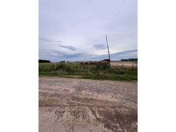 Campo  de 217 ha en San Miguel del Monte sobre Ruta 41