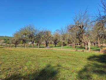 LANCO-PAMGUIPULLI, FABULOSO  SITIO DE 5000 MTS2 EN AYLIN
