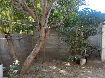 CASA EN VENTA COL FRANCISCO I MADERO, CULIACAN