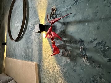“Casa Romilda