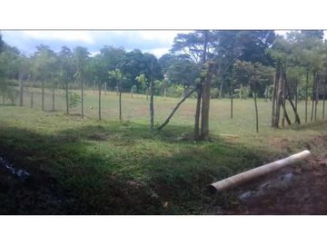 VENDOTERRENO EN CHORRERA LA MENDOZA 1.300MTS