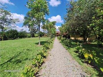 Venta Finca Hotel Tebaida Quindio Colombia COD: 8431951