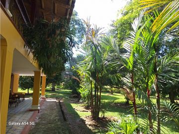Venta Finca Hotel Tebaida Quindio Colombia COD: 8431951
