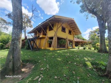 Venta Finca Hotel Tebaida Quindio Colombia COD: 8431951