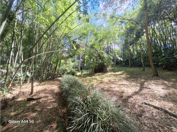 Venta Finca Hotel Tebaida Quindio Colombia COD: 8431951