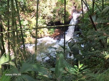 Venta Finca Hotel Tebaida Quindio Colombia COD: 8431951