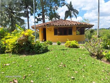 Venta Finca Hotel Tebaida Quindio Colombia COD: 8431951