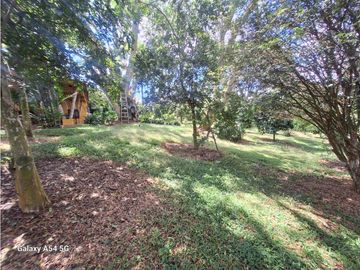 Venta Finca Hotel Tebaida Quindio Colombia COD: 8431951