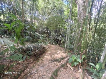 Venta Finca Hotel Tebaida Quindio Colombia COD: 8431951