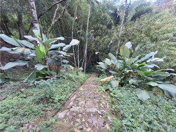 Venta Finca Hotel Tebaida Quindio Colombia COD: 8431951